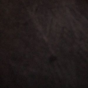 Meet your Posher, Cody